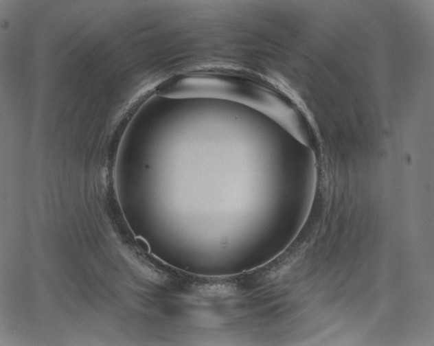 X0000066100063200603101151