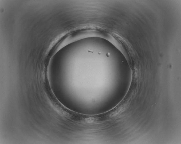 X0000066100064200603101151