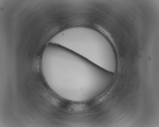 X0000066100065200603101151