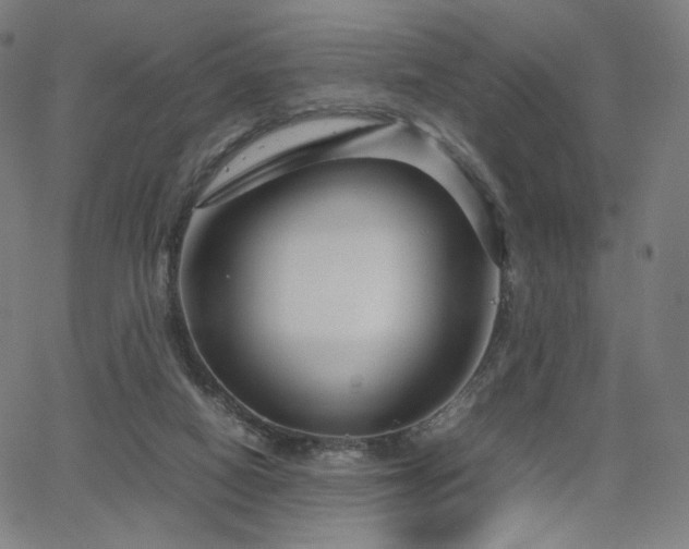 X0000066100066200603101151