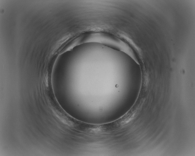 X0000066100068200603101151