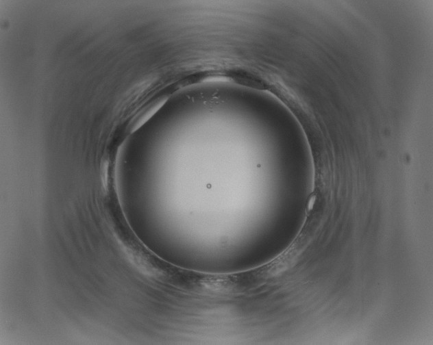 X0000066100070200603101151