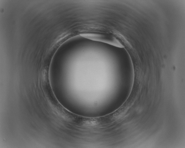 X0000066100071200603101151