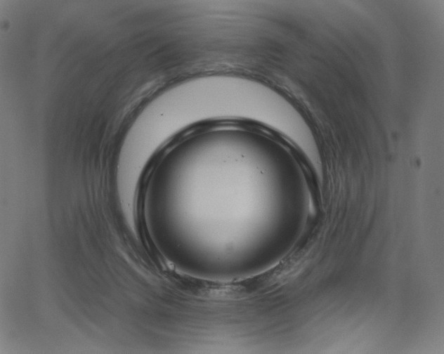 X0000066100072200603101151