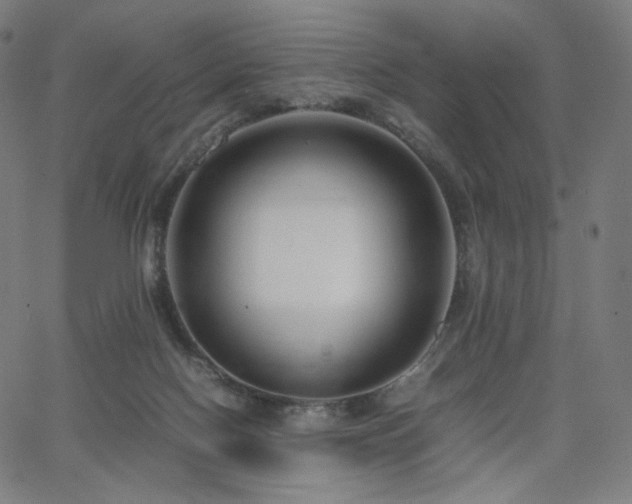 X0000066100074200603101151