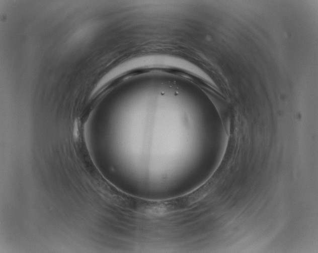 X0000066100075200603101152