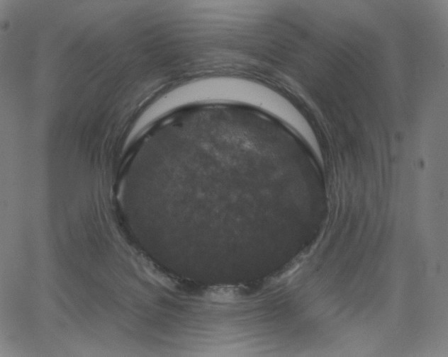 X0000066100076200603101152