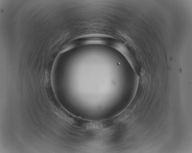 X0000066100077200603101152