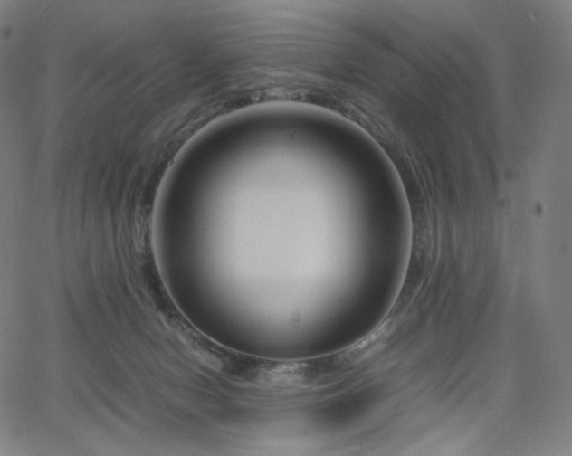 X0000066100078200603101152