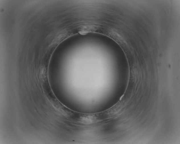 X0000066100079200603101152