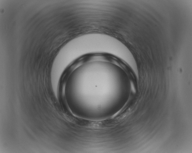 X0000066100080200603101152