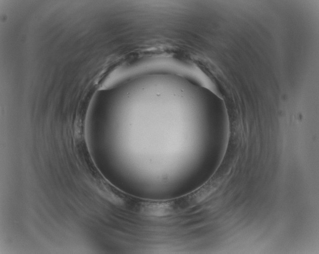 X0000066100081200603101152