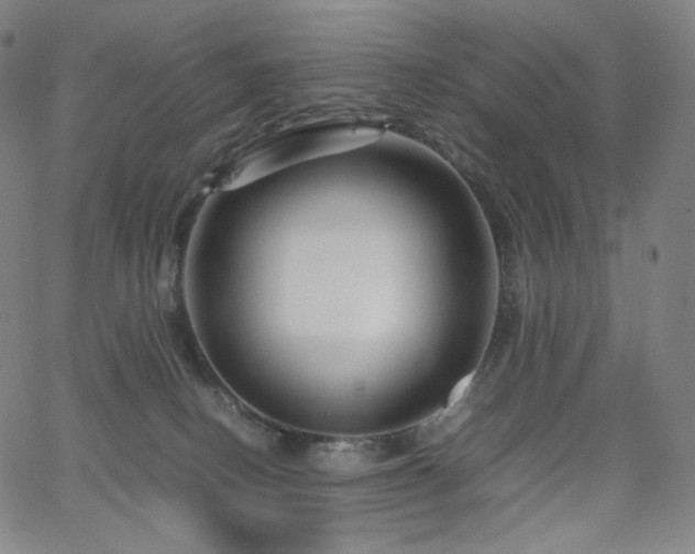 X0000066100082200603101152