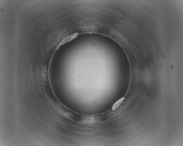 X0000066100083200603101152