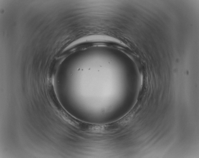 X0000066100084200603101152