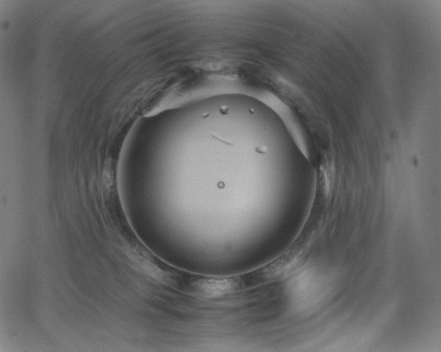 X0000066100085200603101152