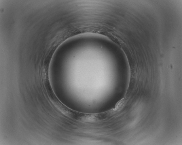 X0000066100086200603101152