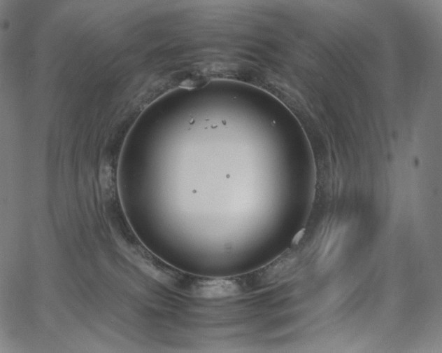 X0000066100087200603101152