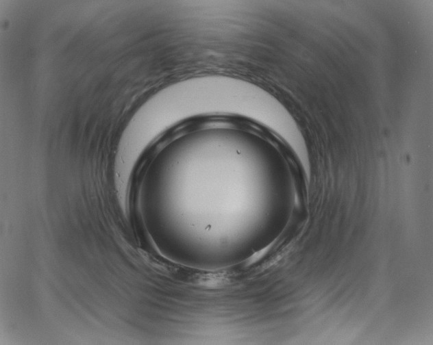 X0000066100088200603101152