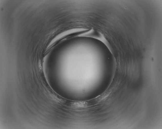 X0000066100089200603101152