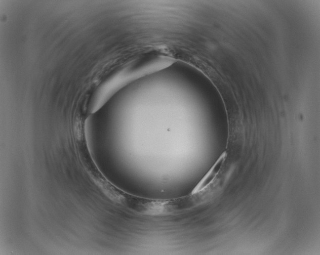 X0000066100090200603101152