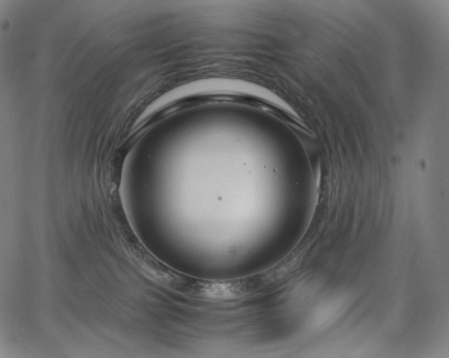 X0000066100091200603101152