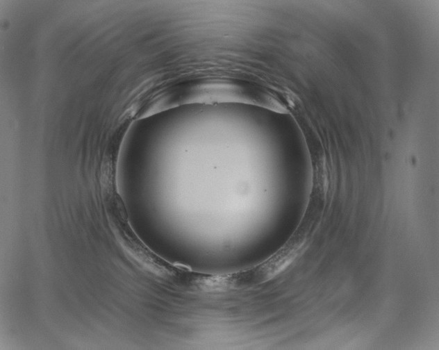 X0000066100092200603101152