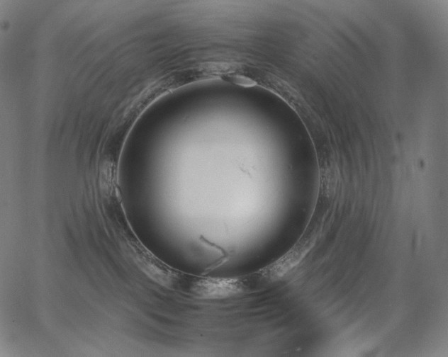 X0000066100093200603101152