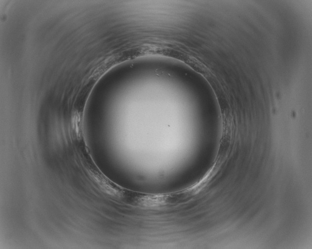 X0000066100094200603101152