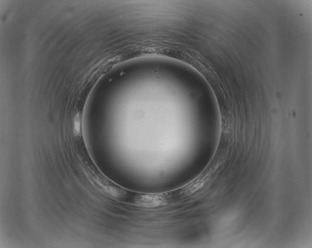 X0000066100095200603101152