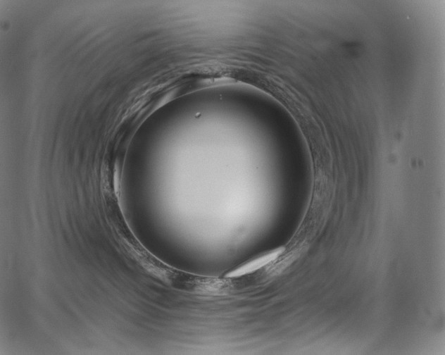 X0000066100096200603101152