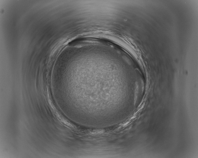 X0000066100097200603101151