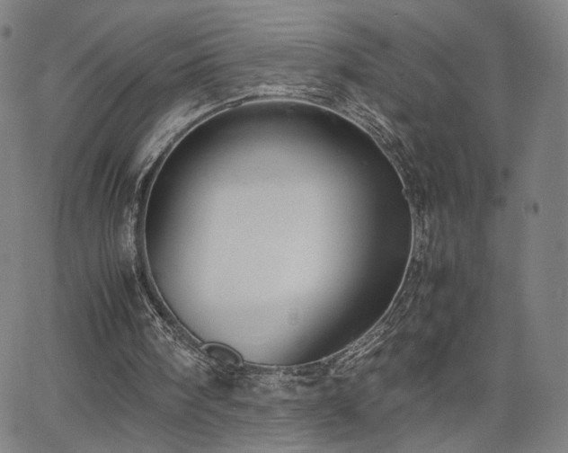 X0000066100098200603101151