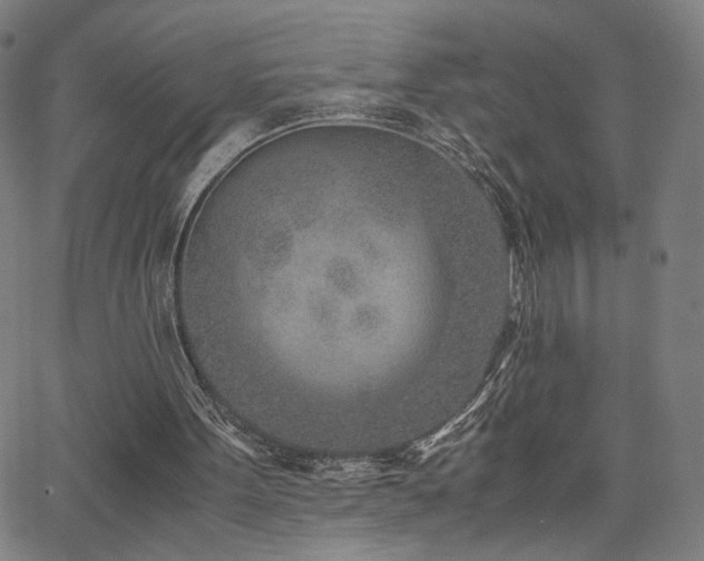 X0000066100099200603101151