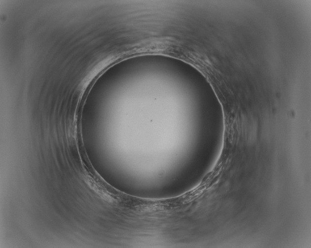 X0000066100100200603101151