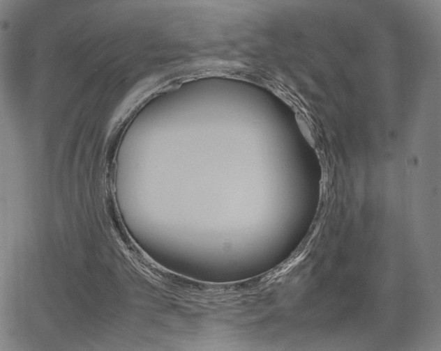 X0000066100101200603101151