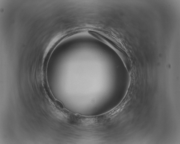 X0000066100102200603101151