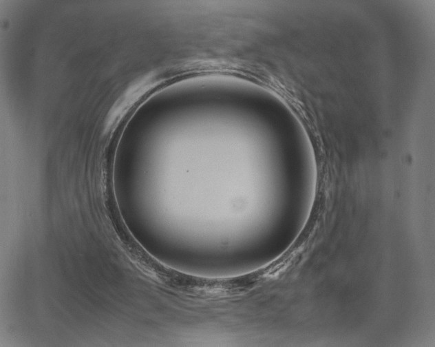 X0000066100103200603101151