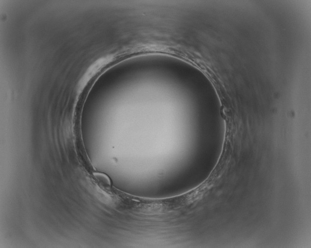 X0000066100104200603101151