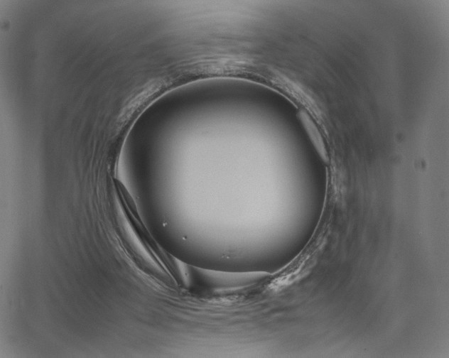 X0000066100105200603101151