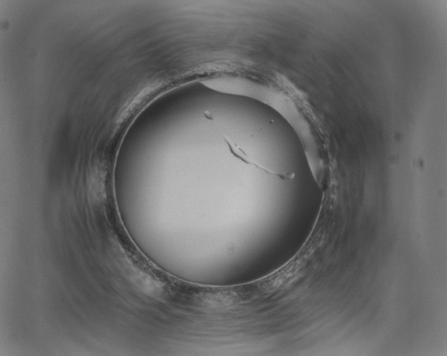 X0000066100106200603101151