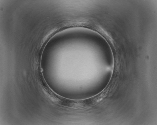 X0000066100107200603101151