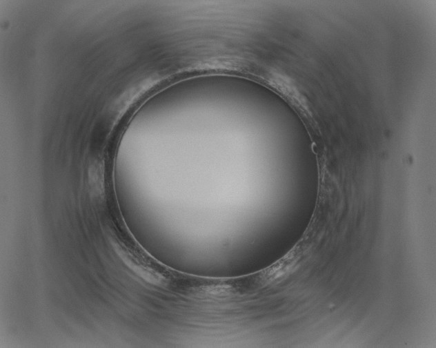 X0000066100108200603101151