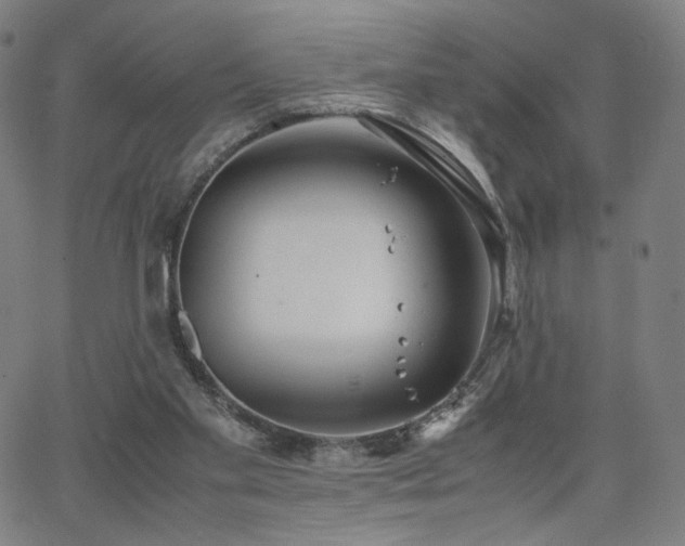 X0000066100109200603101151