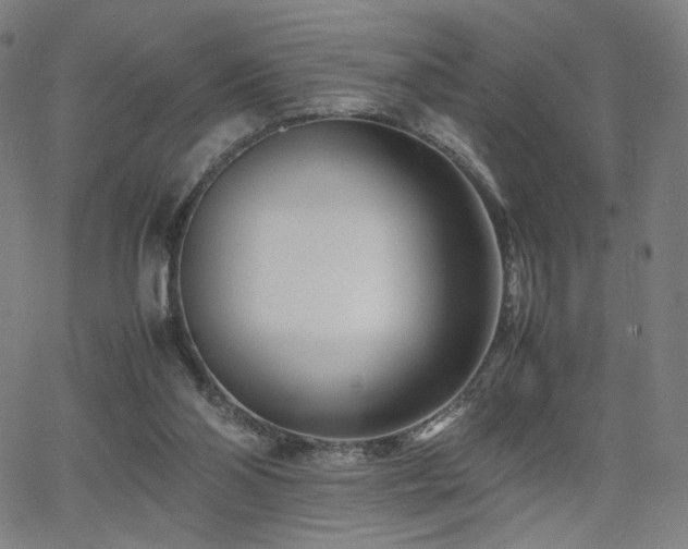 X0000066100110200603101151