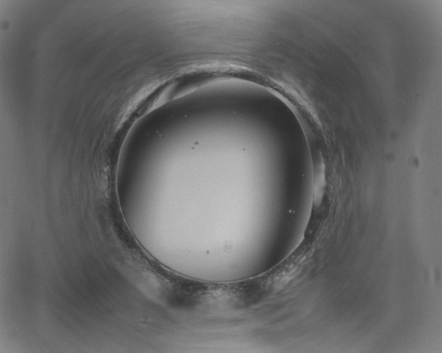 X0000066100111200603101151