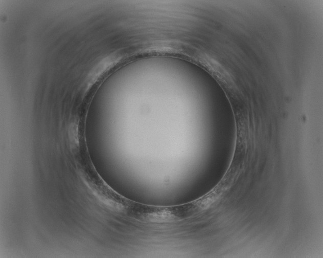 X0000066100112200603101151