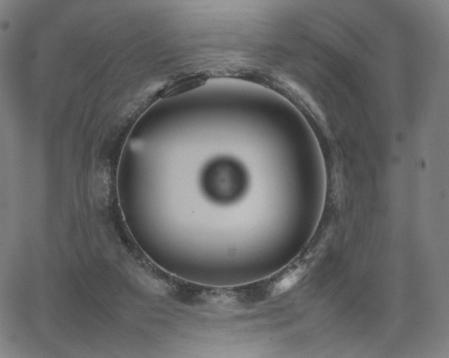 X0000066100113200603101151