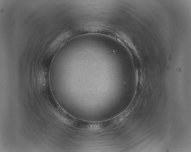 X0000066100114200603101151