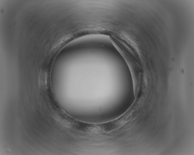 X0000066100115200603101151